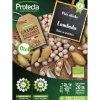 PROTECTA - Graines paysannes - pois chiche lambada bio