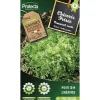 PROTECTA - Graines paysannes - chicorée frisée grosse pommant seule