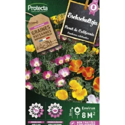 PROTECTA - Graines paysannes - eschscholtzia de californie