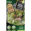 PROTECTA - Graines paysannes - laitue batavia blonde à bord rouge