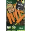 PROTECTA - Graines paysannes - carotte touchon