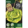PROTECTA - Graines paysannes - laitue gotte jaune d'or