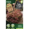 PROTECTA - Graines paysannes - laitue à couper frisée lollo rossa