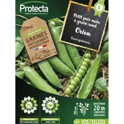 PROTECTA - Graines paysannes - pois nain à grain rond orion