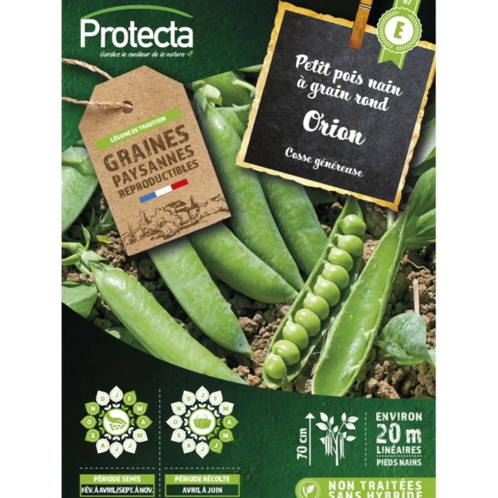 PROTECTA - Graines paysannes - pois nain à grain rond orion