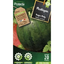 PROTECTA - Graines paysannes - pastèque sugar baby
