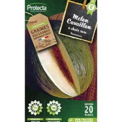 PROTECTA - Graines paysannes - melon de cavaillon espagnol à chair rose