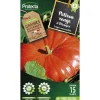 PROTECTA - Graines paysannes - potiron rouge vif d'etampes