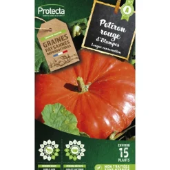 PROTECTA - Graines paysannes - potiron rouge vif d'etampes
