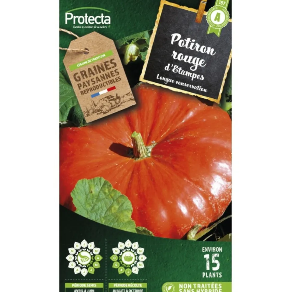 PROTECTA - Graines paysannes - potiron rouge vif d'etampes