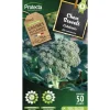 PROTECTA - Graines paysannes - chou brocoli à jets verts calabrais