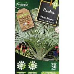 PROTECTA - Graines paysannes - cardon plein blanc inerme