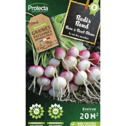 PROTECTA - Graines paysannes - radis rond rose à bout blanc