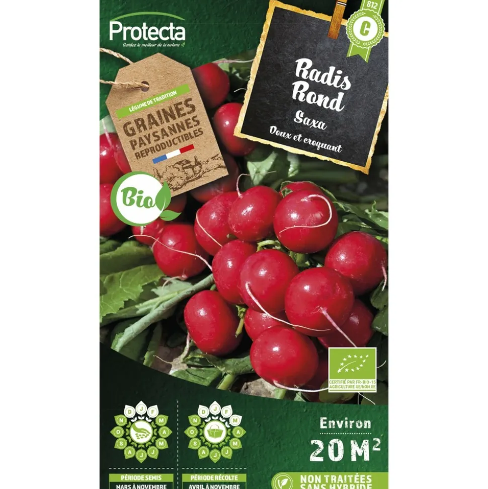 PROTECTA - Graines paysannes - radis rond rouge saxa bio