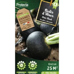PROTECTA - Graines paysannes - radis noir gros rond d'hiver