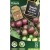 PROTECTA - Graines paysannes - tomate black cherry