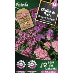 PROTECTA - Graines paysannes - oeillet de poéte en mélange