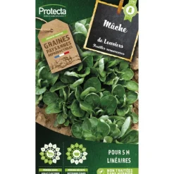 PROTECTA - Graines paysannes - mâche coquille de louviers