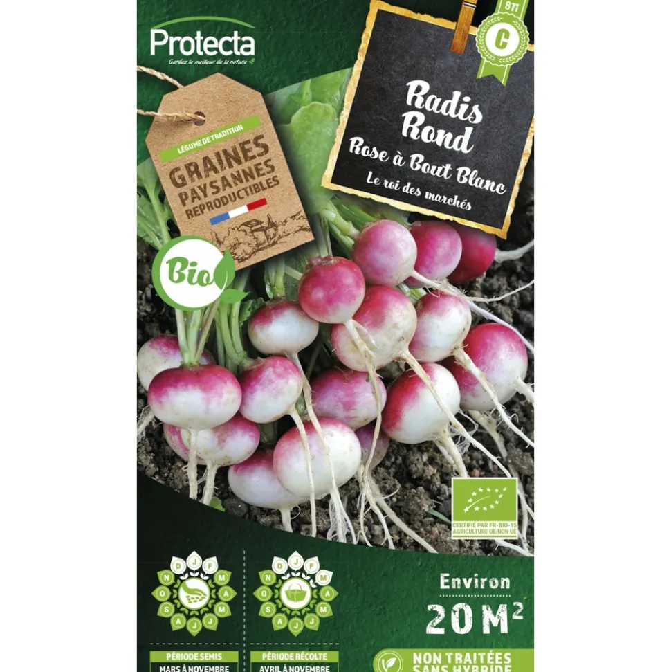 PROTECTA - Graines paysannes - radis rond rose à bout blanc bio