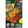 PROTECTA - Graines paysannes - souci double en mélange