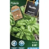 PROTECTA - Graines paysannes - basilic genovese grand vert