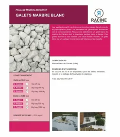 RACINE - Paillage minéral galet marbre blanc carrare 40-60mm, big bag 500 kg - f-pai010