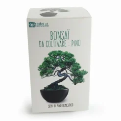 RADIS ET CAPUCINE - Kit de culture bonsaï avec pot