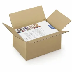 RAJA - 20 cartons d'emballage 31 x 21.5 x 10 cm - simple cannelure
