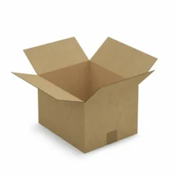 RAJA - 5 cartons d'emballage 31 x 22 x 18 cm - simple cannelure