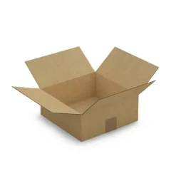 RAJA - Carton d'emballage 25 x 25 x 10 cm - simple cannelure