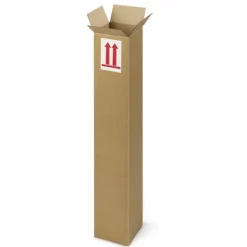 RAJA - Carton d'emballage allongé 50 x 10 x 10 cm - simple cannelure