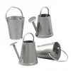 RAYHER - 2 mini arrosoirs et seaux en métal 2 cm