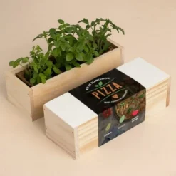 RESETEA - Kit d'auto-culture complet culinaire gourmet
