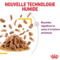 ROYAL CANIN - Bouchées en sauce chat Adulte Sensory Taste 12x85g