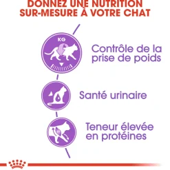 ROYAL CANIN - Croquettes chat Adulte stérilisé de 1 à 7 ans Sterilised 10kg