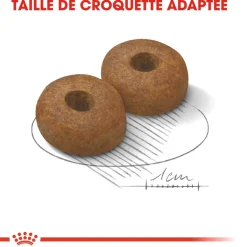 ROYAL CANIN - Croquettes chien grande taille de +8 ans Maxi Ageing 8+ 15kg