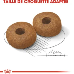 ROYAL CANIN - Croquettes chien taille moyenne de +10 ans Medium Ageing 3kg