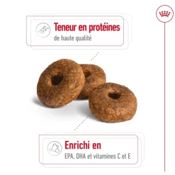 ROYAL CANIN - Croquettes chien taille moyenne de +10 ans Medium Ageing 3kg