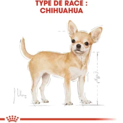 ROYAL CANIN - Croquettes chien Chihuahua Adulte plus de 8 mois 1,5kg