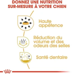 ROYAL CANIN - Croquettes chien Chihuahua Adulte plus de 8 mois 1,5kg