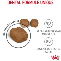 ROYAL CANIN - Croquettes pour chat limitant la formation de tartre Dental Care 1,5kg