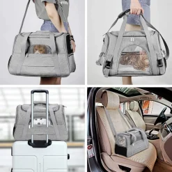 Sac à dos de chat portable et respirant pour sorties grand downypaws