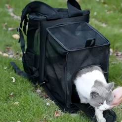 Sac à dos pour chat mcboson noir - extensible, grande capacité, pliable