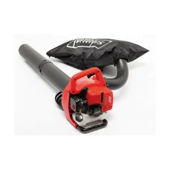SCHEPPACH - Souffleur à feuilles lbh2600p 1,0 ch