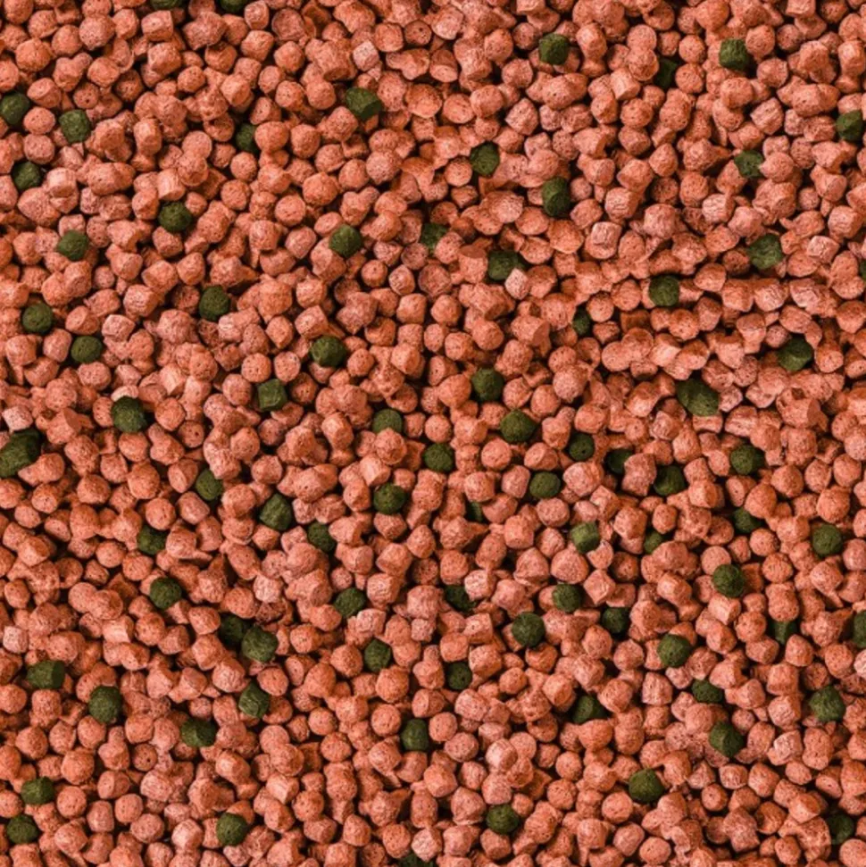 SERA - 5kg koi junior all seasons probiotic