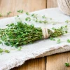 SERRES DESRUMAUX - Plant thym commun pépinière pot 1,5l