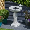 SMART GARDEN - Fontaine solaire bain d'oiseaux aspect pierre