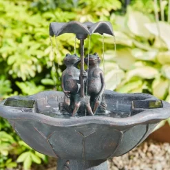 SMART GARDEN - Fontaine solaire bain d'oiseaux duo de grenouilles