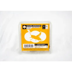 STOFFELS - Criquets subadultes pour alimentation reptiles, 15 pièces