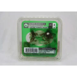 STOFFELS - Grillons alimentation reptiles, taille petit, 70/80 pièces